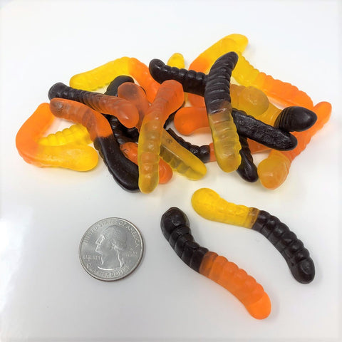 Gummi Worms Fall mini gummy worms Autumn Halloween candy 1 pound
