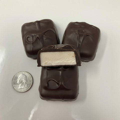 Gourmet Jumbo Vanilla Marshmallow Dark Chocolate Candy 1 pound